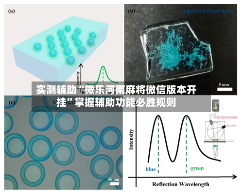 实测辅助“微乐河南麻将微信版本开挂”掌握辅助功能必胜规则