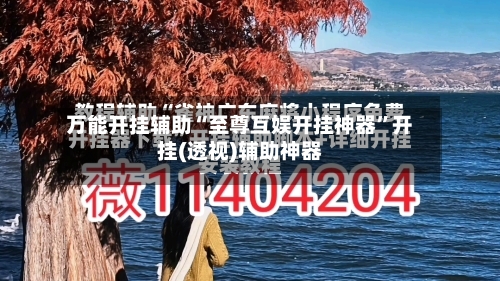 万能开挂辅助“至尊互娱开挂神器”开挂(透视)辅助神器