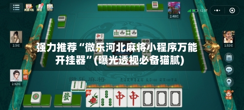 强力推荐“微乐河北麻将小程序万能开挂器	”(曝光透视必备猫腻)-第2张图片