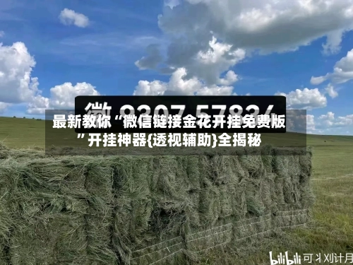 最新教你“微信链接金花开挂免费版”开挂神器{透视辅助}全揭秘-第2张图片