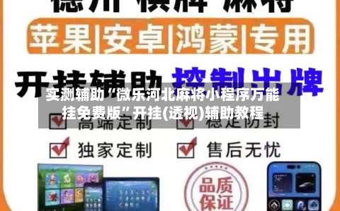 实测辅助“微乐河北麻将小程序万能挂免费版	”开挂(透视)辅助教程-第2张图片