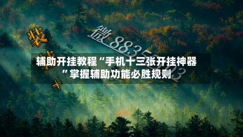 辅助开挂教程“手机十三张开挂神器”掌握辅助功能必胜规则