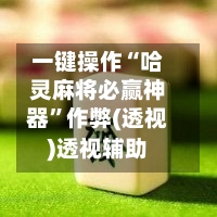 一键操作“哈灵麻将必赢神器”作弊(透视)透视辅助-第2张图片