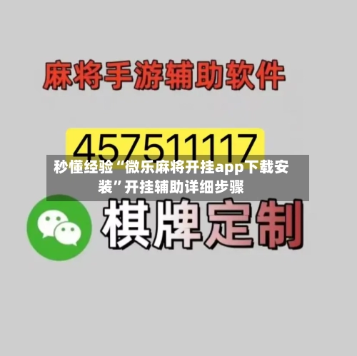 秒懂经验“微乐麻将开挂app下载安装”开挂辅助详细步骤