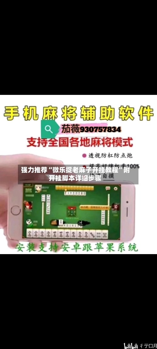 强力推荐“微乐捉老麻子开挂教程	”附开挂脚本详细步骤-第3张图片