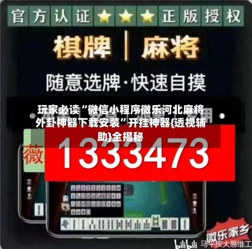 玩家必读“微信小程序微乐河北麻将外卦神器下载安装”开挂神器{透视辅助}全揭秘-第2张图片