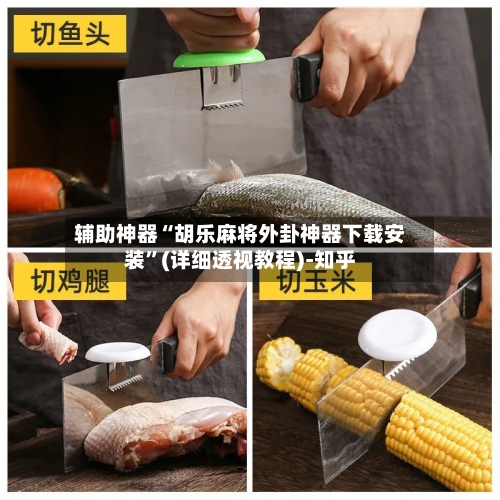 辅助神器“胡乐麻将外卦神器下载安装”(详细透视教程)-知乎