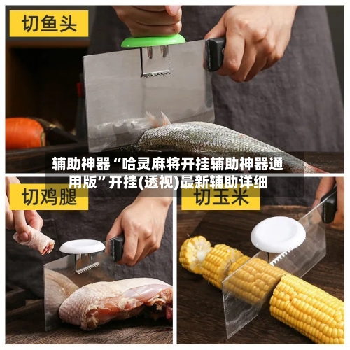 辅助神器“哈灵麻将开挂辅助神器通用版”开挂(透视)最新辅助详细