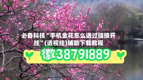 必备科技“手机金花怎么通过链接开挂”(透视挂)辅助下载教程-第2张图片