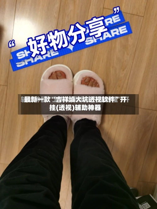 最新一款“吉祥填大坑透视软件”开挂(透视)辅助神器-第2张图片