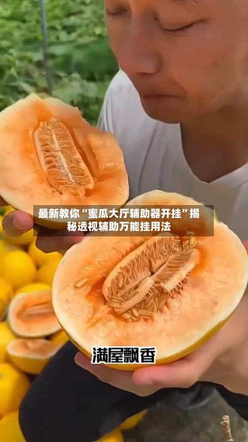最新教你“蜜瓜大厅辅助器开挂	”揭秘透视辅助万能挂用法-第2张图片