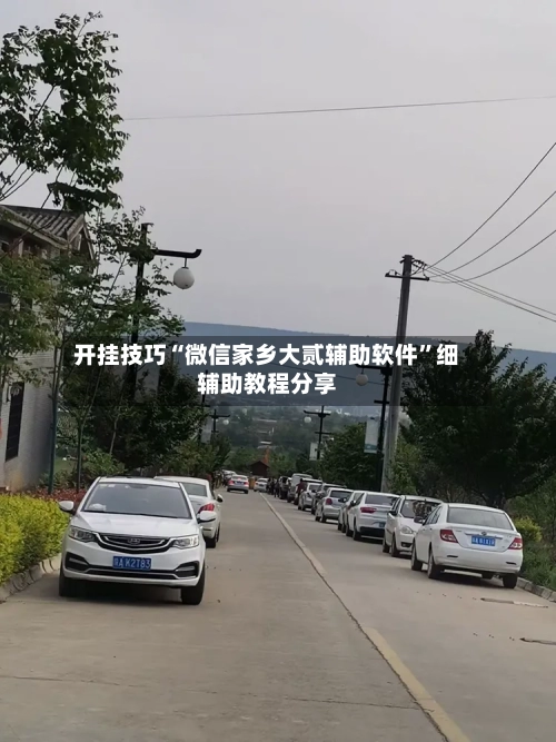 开挂技巧“微信家乡大贰辅助软件	”细辅助教程分享-第3张图片