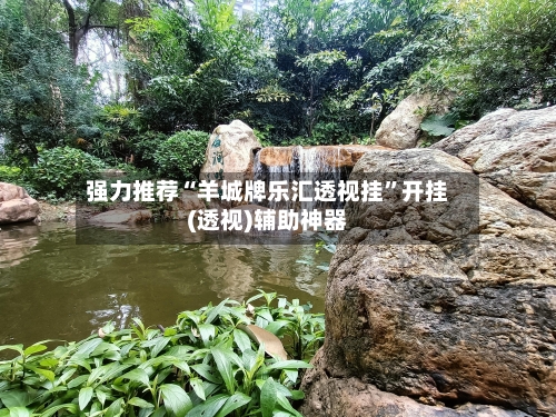 强力推荐“羊城牌乐汇透视挂”开挂(透视)辅助神器