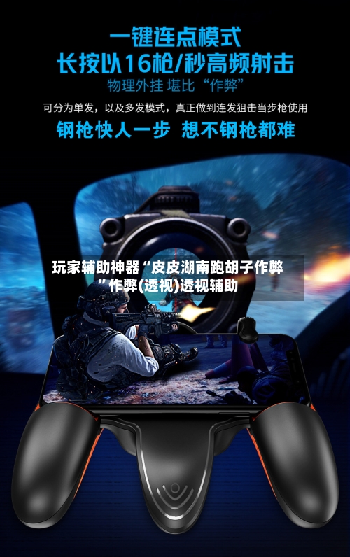 玩家辅助神器“皮皮湖南跑胡子作弊”作弊(透视)透视辅助