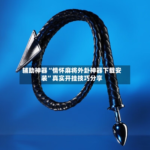 辅助神器“情怀麻将外卦神器下载安装	”真实开挂技巧分享-第2张图片