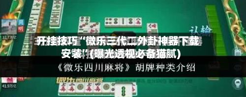 开挂技巧“微乐三代二外卦神器下载安装”(曝光透视必备猫腻)-第3张图片