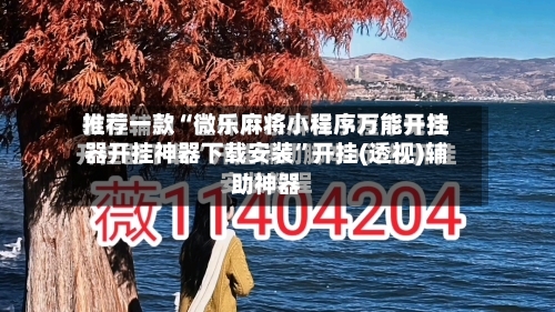 推荐一款“微乐麻将小程序万能开挂器开挂神器下载安装	”开挂(透视)辅助神器-第2张图片