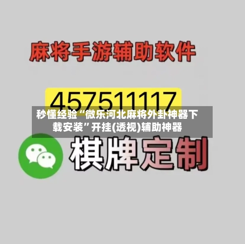 秒懂经验“微乐河北麻将外卦神器下载安装”开挂(透视)辅助神器