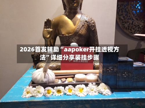 2026首发辅助“aapoker开挂透视方法”详细分享装挂步骤-第2张图片
