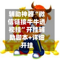 辅助神器“微信链接牛牛透视挂”开挂辅助脚本+详细开挂-第3张图片