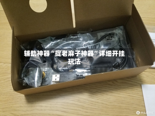 辅助神器“捉老麻子神器	”详细开挂玩法-第2张图片