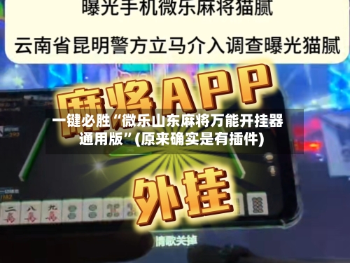 一键必胜“微乐山东麻将万能开挂器通用版”(原来确实是有插件)-第3张图片