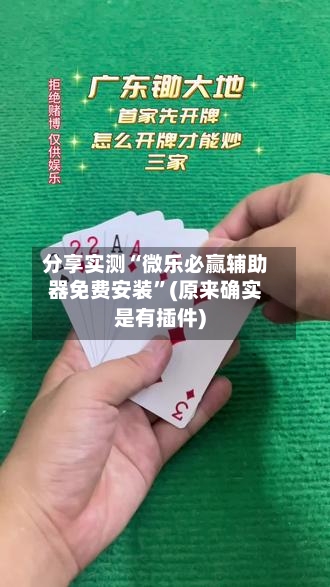 分享实测“微乐必赢辅助器免费安装”(原来确实是有插件)-第3张图片