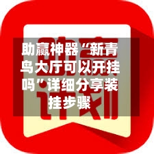 助赢神器“新青鸟大厅可以开挂吗”详细分享装挂步骤-第2张图片