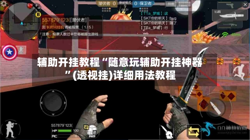 辅助开挂教程“随意玩辅助开挂神器	”(透视挂)详细用法教程-第2张图片