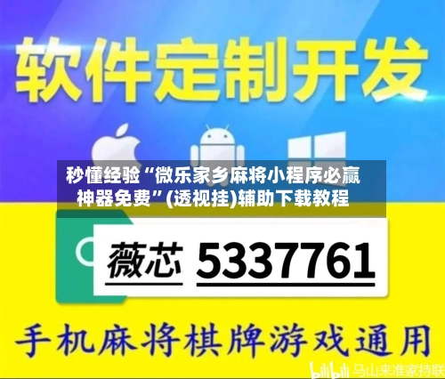 秒懂经验“微乐家乡麻将小程序必赢神器免费”(透视挂)辅助下载教程-第2张图片