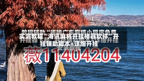 实测教程“海讯麻将开挂神器软件”开挂辅助脚本+详细开挂-第3张图片