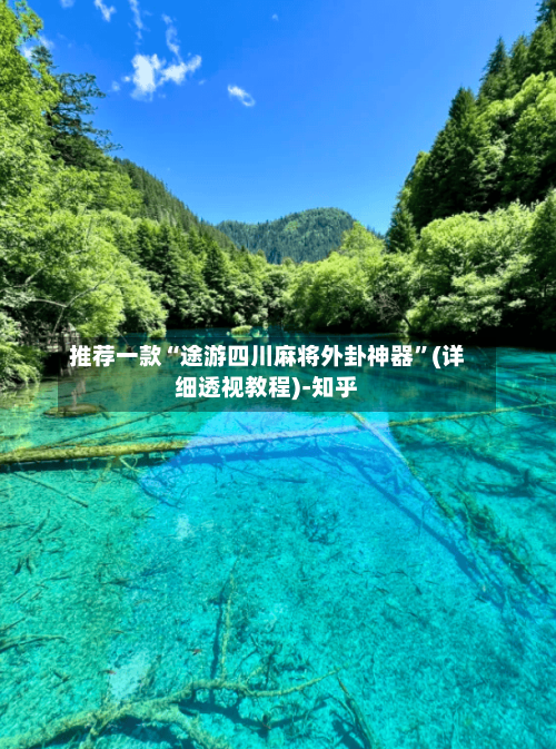 推荐一款“途游四川麻将外卦神器	”(详细透视教程)-知乎-第2张图片