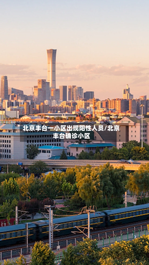 北京丰台一小区出现阳性人员/北京丰台确诊小区