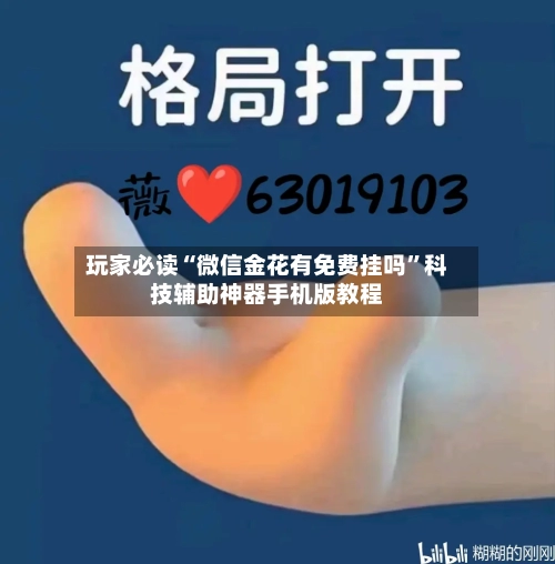 玩家必读“微信金花有免费挂吗”科技辅助神器手机版教程-第2张图片