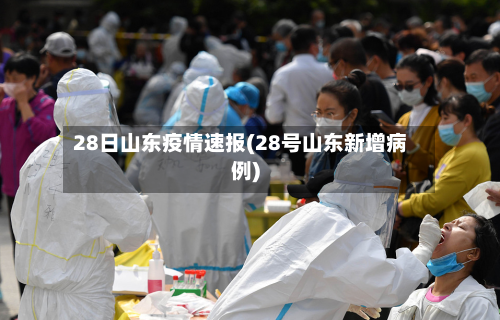 28日山东疫情速报(28号山东新增病例)