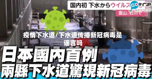 疫情下水道/下水道传播新冠病毒是谣言吗