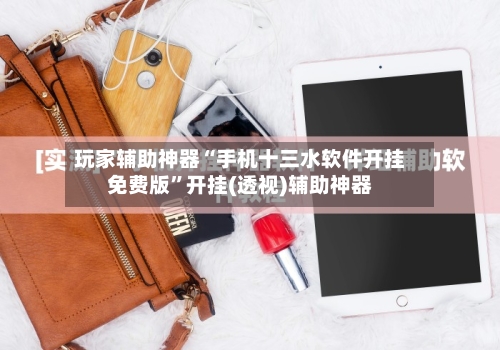 玩家辅助神器“手机十三水软件开挂免费版”开挂(透视)辅助神器-第3张图片