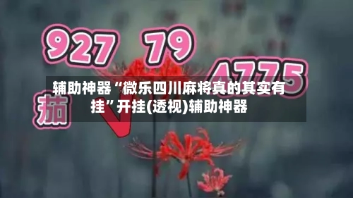 辅助神器“微乐四川麻将真的其实有挂”开挂(透视)辅助神器-第2张图片
