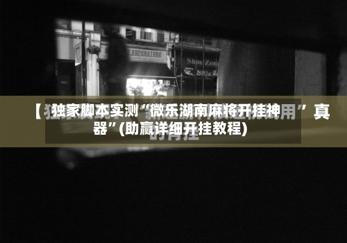 独家脚本实测“微乐湖南麻将开挂神器”(助赢详细开挂教程)-第3张图片