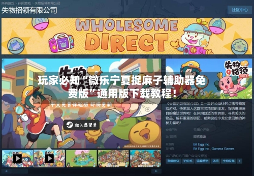 玩家必知“微乐宁夏捉麻子辅助器免费版”通用版下载教程！