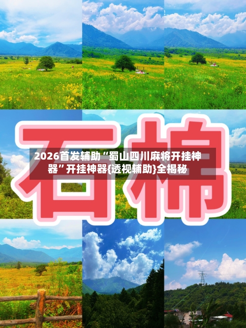 2026首发辅助“蜀山四川麻将开挂神器”开挂神器{透视辅助}全揭秘