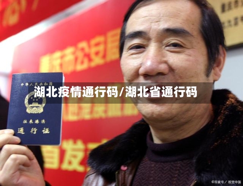 湖北疫情通行码/湖北省通行码-第2张图片