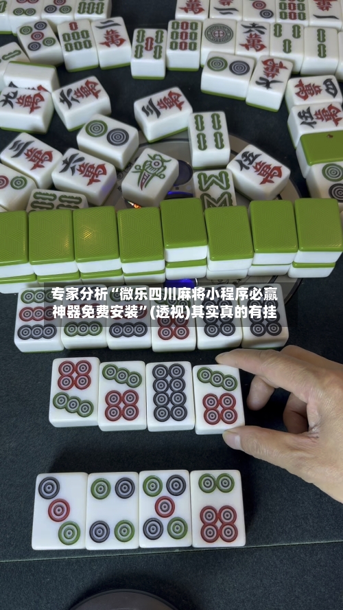 专家分析“微乐四川麻将小程序必赢神器免费安装”(透视)其实真的有挂-第3张图片