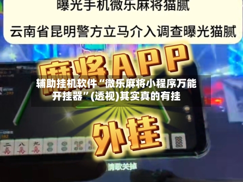 辅助挂机软件“微乐麻将小程序万能开挂器”(透视)其实真的有挂-第3张图片