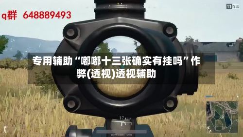 专用辅助“嘟嘟十三张确实有挂吗	”作弊(透视)透视辅助-第2张图片