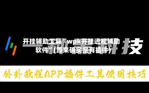 开挂辅助工具“wpk开挂透视辅助软件”(原来确实是有插件)-第2张图片