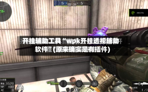 开挂辅助工具“wpk开挂透视辅助软件”(原来确实是有插件)