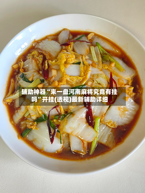 辅助神器“来一盘河南麻将究竟有挂吗”开挂(透视)最新辅助详细