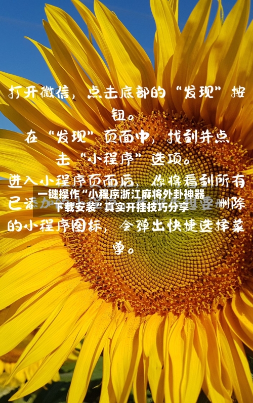 一键操作“小程序浙江麻将外卦神器下载安装”真实开挂技巧分享-第2张图片