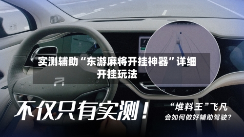 实测辅助“东游麻将开挂神器”详细开挂玩法-第2张图片